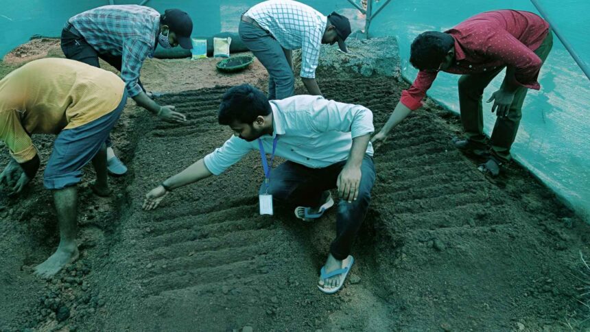 Noni Cultivation training