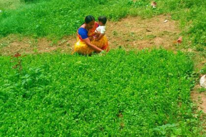 Enhancing Farmer Livelihoods