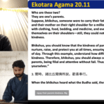 EKOTARA AGAMA 20.11